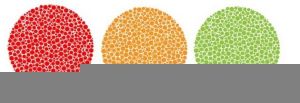 Tetracromatismo-posibilidad-de-ver-mas-colores4 (1)