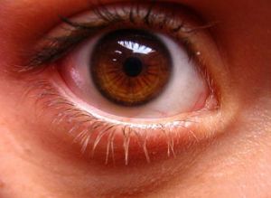 Alguns cuidados simples podem ajudar a saúde dos olhos
