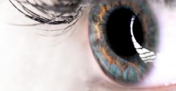 Transplante de córnea cresce em 2017 Transplante de córnea cresce em 2017