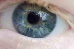 Cientistas criaram novo implante de retina artificial para a visão Cientistas criaram novo implante de retina artificial para a visão