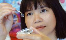 Saiba mais sobre transplante de células-tronco da córnea Saiba mais sobre transplante de células-tronco da córnea