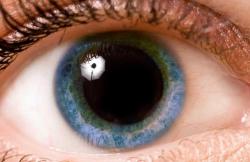 Tamanho da pupila surpreendentemente ligado às diferenças na inteligência
