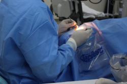Pesquisa explica aumento do transplante de córnea no Brasil