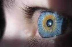Nova técnica de ultrassom ativa circuitos conectados à retina e devolve a visão
